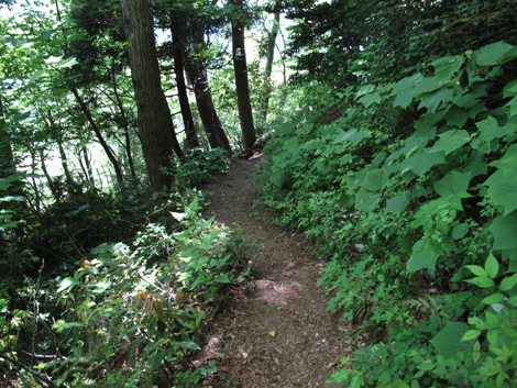 20140517hike (280)